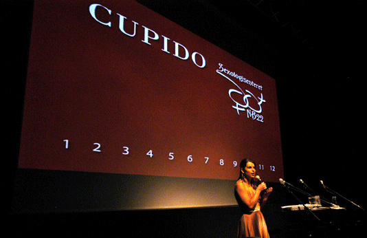 Ja, det finnes god porno