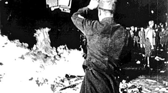 Europeisk sexologi på nazistenes bokbål